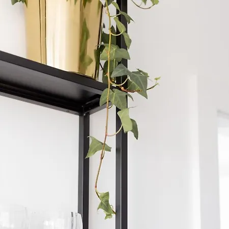 Apartment 32 *